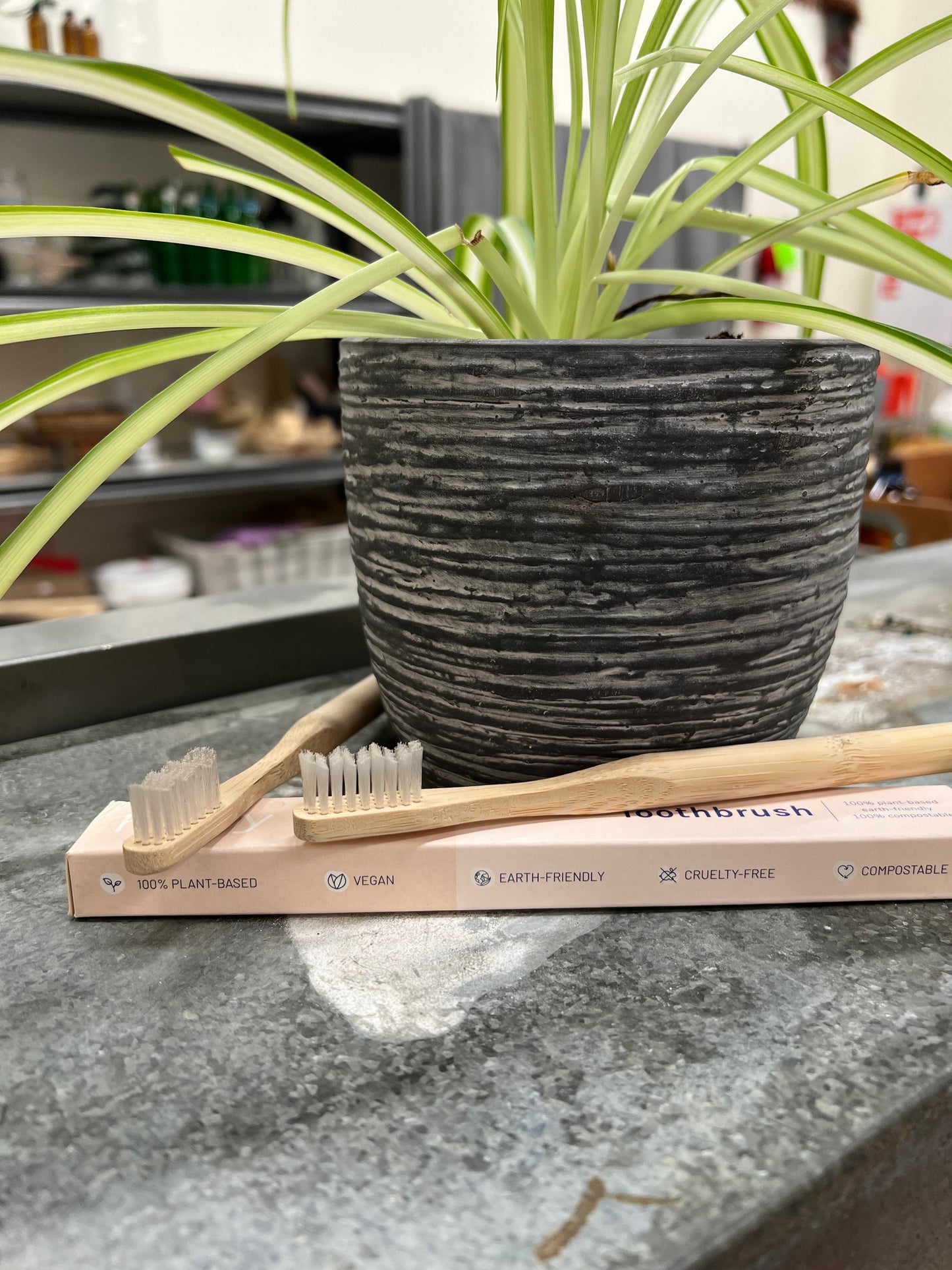 Bamboo Toothbrush