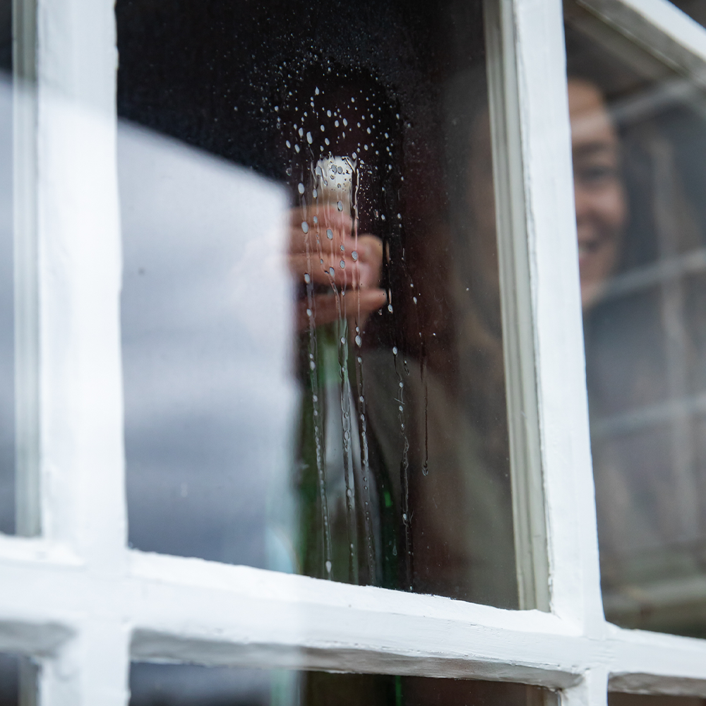 Glass Cleaner